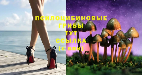 гидропоника Алексеевка